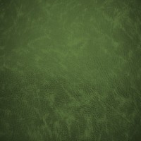 Flame Retardant Leatherette Green - CRIB5